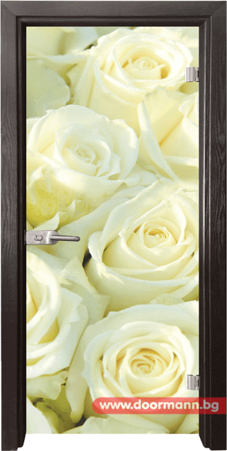 Стъклена врата модел Print 13-6 – Венге