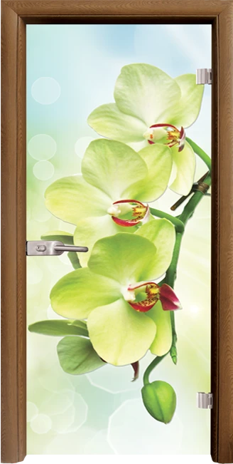 Стъклена Врата Standart Print G 13-3 Green Златен Дъб